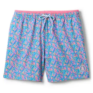 Растягивающиеся плавки с подкладкой 5,5 дюймов Chubbies, The Spades