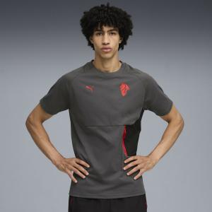Мужская футболка с коротким рукавом AC Milan Puma Tech Pocket