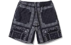 THE NORTH FACE Повседневные шорты мужские черные