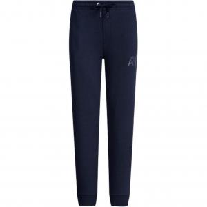 Трикотажные спортивные штаны AE FW22 мужские ARMANI EXCHANGE, синий