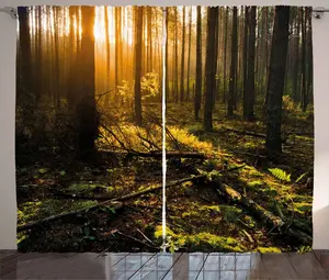 Штора ABAKUHAUS Рустикальный лес, Лучи туманного утреннего солнца, для спальни, присборенная тесьма с петлями и крючками, 280 x 245 см, цвет папоротниково-зеленый и коричневый Abakuhaus