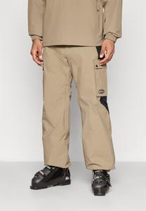 Лыжные брюки Quiksilver SNOW DOWN CARGO, Fallen Rock/Sand