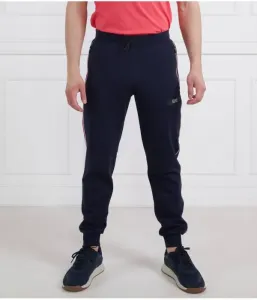 Спортивные штаны regular fit Ea7, темно-синий