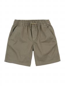 GAP Оливковые обычные шорты