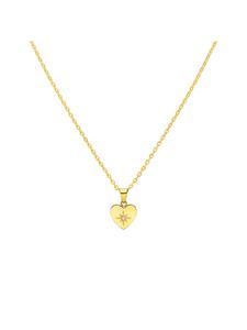 Ожерелье в форме сердца Lucardi