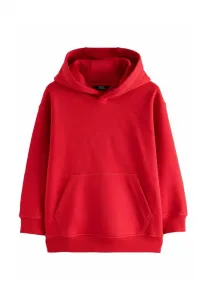 Обычная однотонная толстовка с капюшоном Next, Red