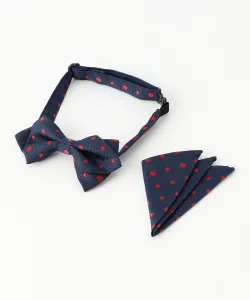 Комплект Ringodot: галстук-бабочка и шарф