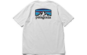 patagonia Патагония Мужская футболка, Анна Капа Блю/APBL