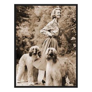 Картина Any Image With the dogs, 63x83x2,5 см