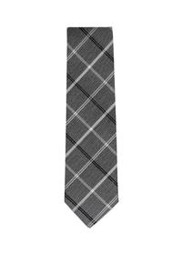 Real Guys Галстук в сером цвете