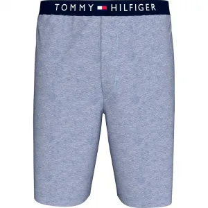 Спортивные шорты Tommy Hilfiger UM0UM03578, синий