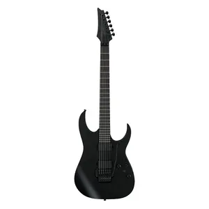 Электрогитара Ibanez Iron Label RGRB620 - Черный матовый
