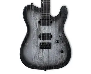 Электрогитара ESP LTD TE-1000 - Silver Blast с грифом из эбена