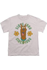 Футболка с коротким рукавом Scooby Doo In The Middle для детей Gildan, серебряный