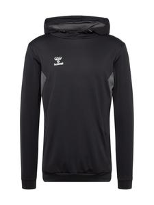 Спортивная толстовка Hummel Authentic PL, черный