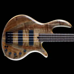 Elrick E-Volution Gold 4 2023