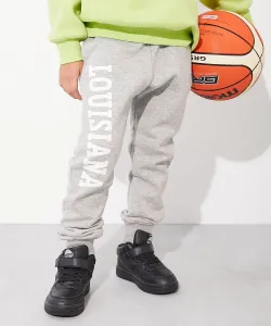Брюки, спортивные штаны, длинные брюки, низ из флиса с принтом Devil Lab, осень-зима 2025 Devirock, цвет 013-Logo 2-Mottled Gray