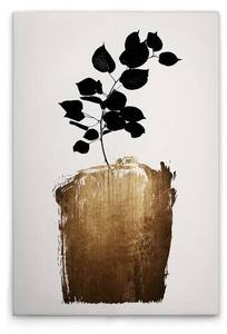 Картина на холсте A.S. Création Golden Scabiosa цвет cremegoldschwarz