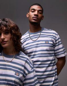 Футболка Dickies Glade Spring в полоску, средне-синего цвета