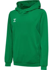 Детская толстовка "Hmlauthentic Pl Hoodie Kids" разноцветная Hummel