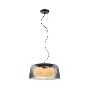 Подвесной светильник CALOPUS E27, 1 шт. Без лампы E27 Paul Neuhaus, Rauchgrau