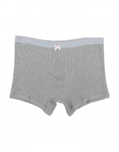 Боксеры UNDERWEAR Dsquared1, серый