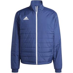 Куртка энтрада легкая (нормальная и длинная) Adidas, цвет tenabl