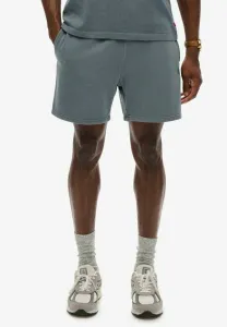 Спортивные штаны Superdry & Co, Stormy Weather Blue