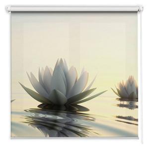 Рулонная штора Tulup Seerosen, 150 х 140 см
