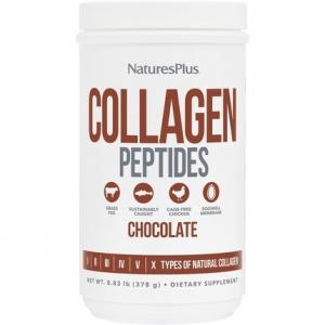 Natures Plus Collagen Peptides Chocolate 0,83 фунта Порошок - 14 порций Nature's Plus