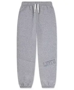 Брюки-джоггеры с кулиской для мальчиков 8-20 Levi'S, серый