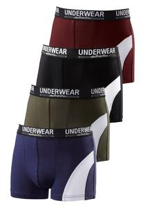 Боксеры AUTHENTIC UNDERWEAR Boxer, красочный
