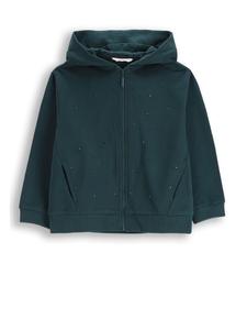 толстовка с капюшоном зеленого цвета Coccodrillo