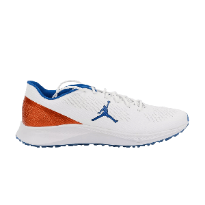Кроссовки Air Jordan Jordan Vapor Edge TF SMU 'Florida Gators' PE, белый