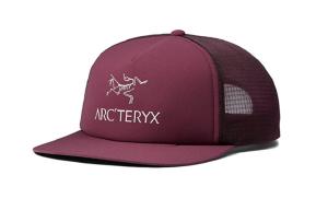 Кепка Arcteryx, фиолетовый