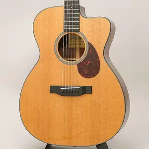 EASTMAN E1-OMCE-Специальный Eastman