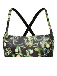 Топ бикини с принтом Lemon Roberto Cavalli, черный