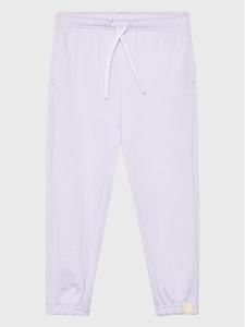 Спортивные брюки стандартного кроя United Colors Of Benetton, фиолетовый