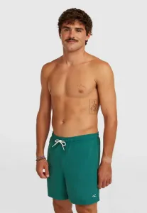 Плавки O'Neill, Botanical Heat