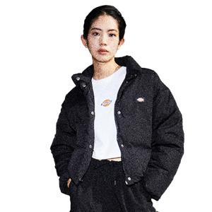 Dickies Пуховик черный DK0A87CABLK унисекс, Black
