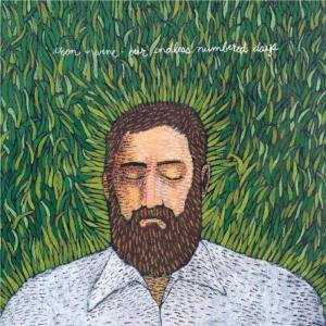 Виниловая пластинка LP Our Endless Numbered Days [2004 Issue] - Iron & Wine