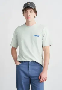 Футболка с принтом dry ridge Dickies, Light Gray