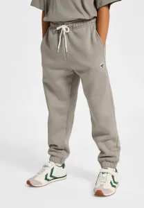 Свободные спортивные штаны с пчелиным рисунком Hummel, Rock Ridge