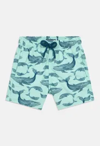 Плавки джима Vilebrequin, Celadon