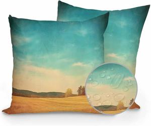 Huotupsine Декоративные подушки Outdoor Pillows Waterproof, цвет Teal Blue, ретро-принт с природным пейзажем, для дома и улицы, 2 шт Cadetblue Darkgoldenrod