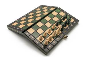 Маленькие магнитные шахматы, логическая игра, шахматы Журека, зеленые Szachy Żurek