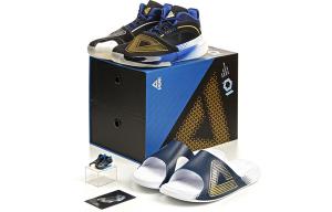 Баскетбольные кроссовки Surfing The Big Triangle 1.0 для мужчин с низким верхом, многоцветные Peak