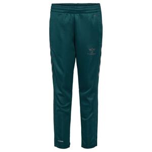 Брюки Hummel Core XK Training Poly, зеленый