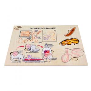 Плоские черви, деревянный пазл, интересные факты о плоских червях, биологическая помощь Inna marka