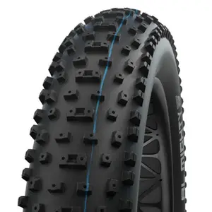 Шина для горного велосипеда Schwalbe Al Mighty EVO Super Ground Tubeless 26´´ x 4.80, серебряный